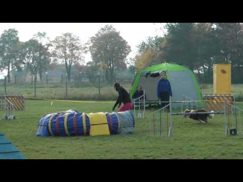 25.10.2015 Dazzling Flash of Silent Storm - ICE AGE AGI II. Ratenice