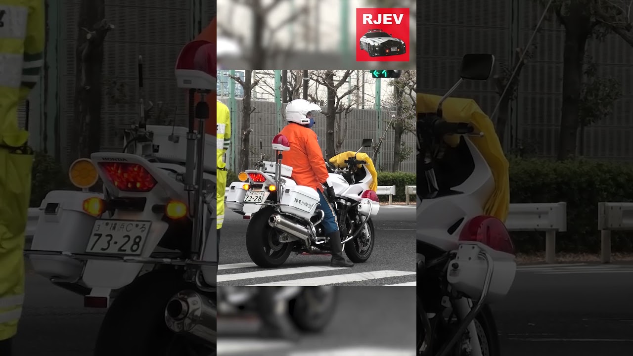 珍しい格好の白バイ