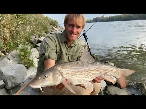 České rybí legendy Jakuba Vágnera – Parma