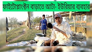 ফাইটোপ্লাংটন/প্রাকৃতিক খাদ্য বাড়ানোর উপায়