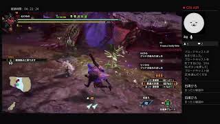 ［サンブレイク］時代に置いていかれしモンハン勢［PS4］