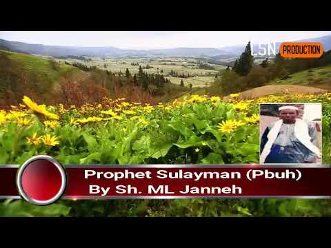 prophet sulayman by Muhammed Lamin Janneh