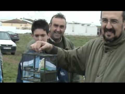 2º CONCURSO DE CANTO ALBOLUT