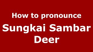 How to pronounce Sungkai Sambar Deer