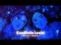 Kaadhalin Leelai Slowed Reverb Krishnavataram Part 1 The Heart Hridayam