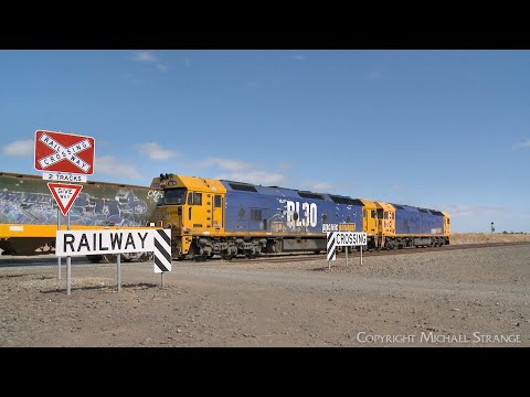 7731V Pacific National Grain Train With BL31 & BL30 Arrives At Gheringhap (21/3/2023) - PoathTV