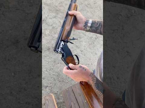 Specs of Browning Cynergy