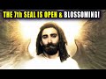 7th Seal, our Crown Chakra is Blossoming ~ SELF RESURRECTION ~ Full Chakra Activation and Alignment