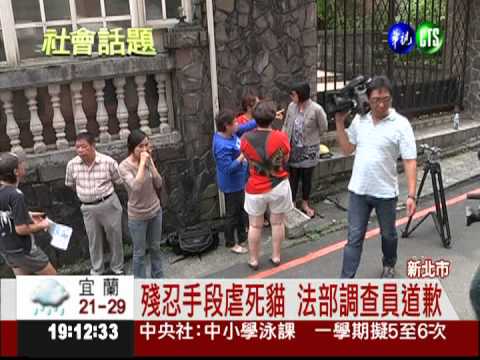 水.火虐死貓 法部調查員幹的!