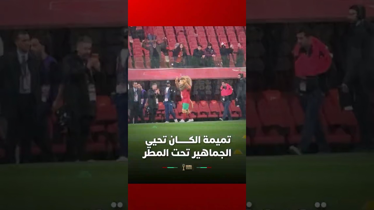 تحت زخات المطر.. تميمة كان المغرب "أسد" تخطف الأنظار بتحية الجماهير في المدرجات thumbnail