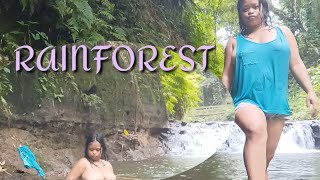 Rainforest Camping /Grilled Fish we eat and Swimmi