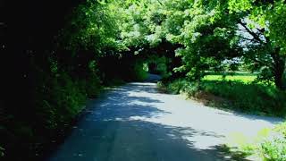 The Voyager (2020) Video