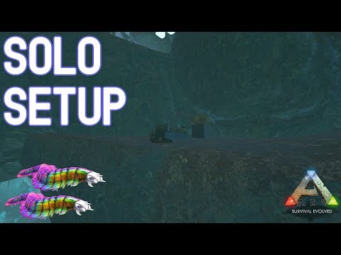 A Solo Setup - ARK (Small Tribes)