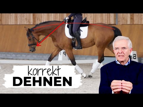 Die Dehnungshaltung: Warum ist sie so wichtig?