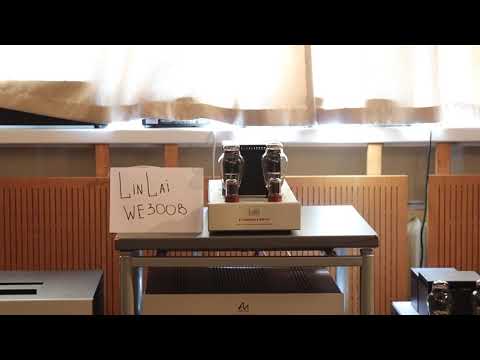 Linlai WE300B and B.Clementine