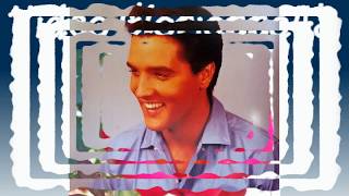 Elvis Presley  -   For The Millionth And The Last Time