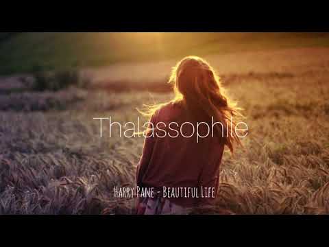 Harry Pane - Beautiful Life