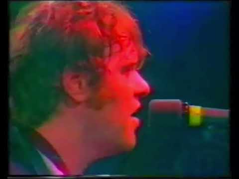 Kim Larsen & Jungle Dreams - Fly away (Live)