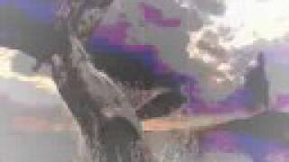 The Battle of Evermore (*Rare* Robert Plant Rehearsal)