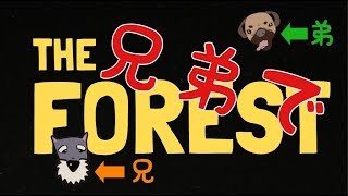 でいだらぼっち のライブ ストリーム