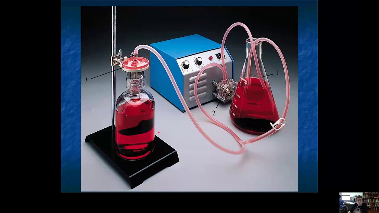 Controle Microbiano   Parte 2