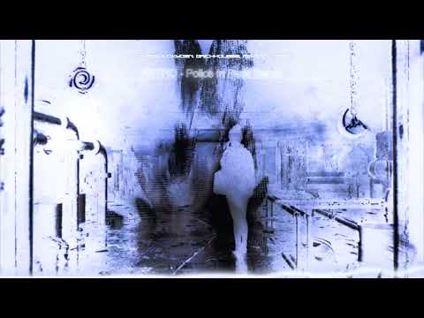 Slowboy, IVOXYGEN, zaichkou888, Police In Paris - ASTRO - Police In Paris Remix (Visualizer)