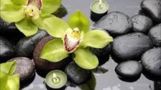 SHAKATAK - WALK THE WALK