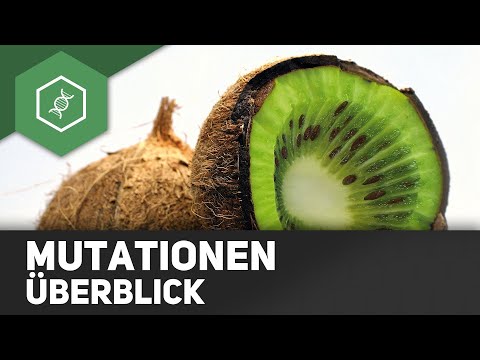 Mutationen - Überblick