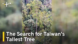 The Search for Taiwan's Tallest Tree | TaiwanPlus News