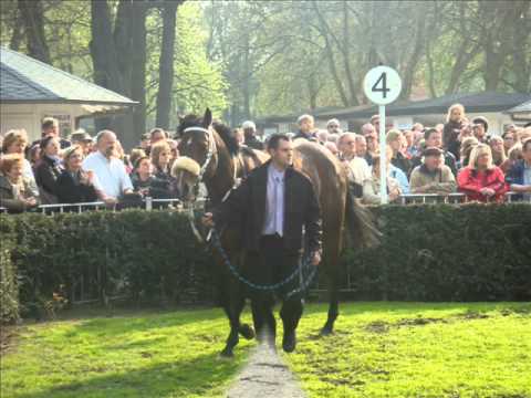 Bild Rennbahn Hoppegarten