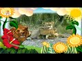 The Amazing World Baby Animals