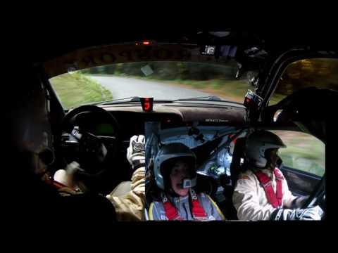 52° rally Città d Lucca D'arcio L.-Filippini E. Clio W. Ps4 CRASH