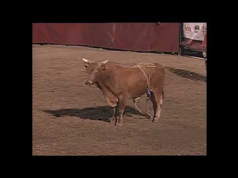 Jim Jam bucks Troy Dunn - 99 PBR Tunica
