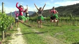 preview picture of video 'Half Corked Marathon 2013 in Oliver Osoyoos Wine Country'