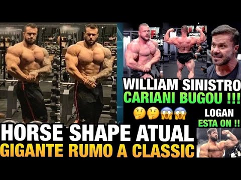 HORSE GIGANTE (SHAPE ATUAL) - WILLIAM COM 130KG SECO IMPRESSIONOU O CARIANI + LOGAN FRANKLIN