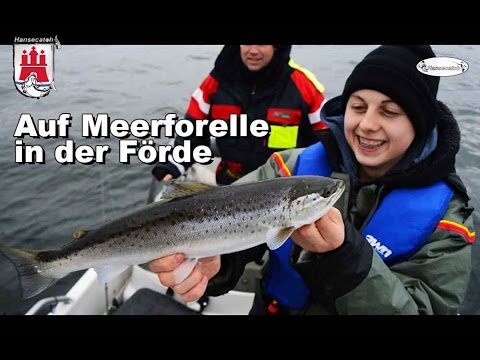 Auf Meerforelle in der Förde
