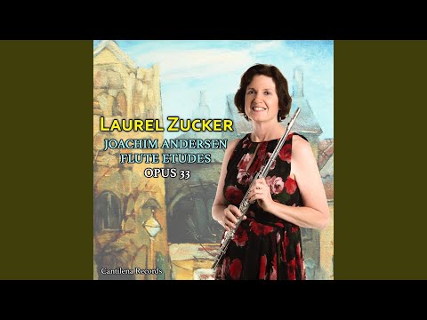 Flute Etudes, Op. 33: No. 3, Andantino in G Major