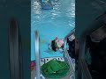 Baby Cooper During Infant Aquatics Class