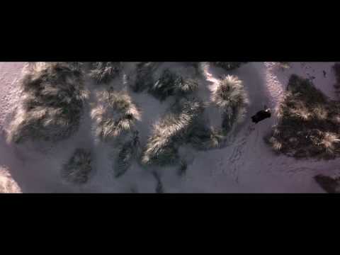 Wild Front - Rico [Official Video]