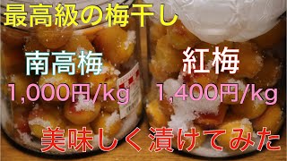 【最高級梅干し】店員さんオススメの南高梅と紅梅を美味しく漬けてみた