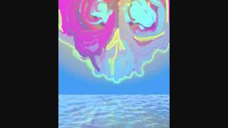 Drawer Full of Pigeon Skulls