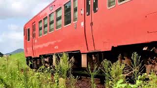 豆朝顔と朱色の列車