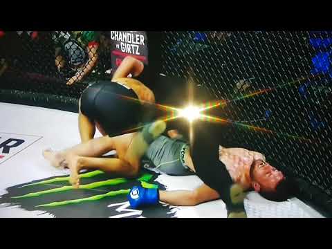 Bellator MMA Adam Borics flying knee knockout