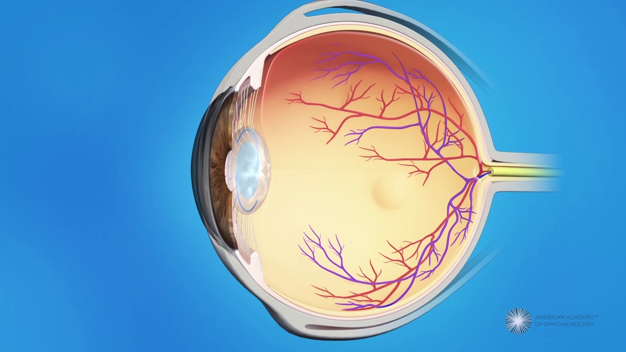 Jarbas Emílio De Moraes Neto-25
