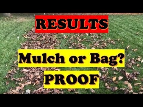 Mulching Leaves Results UPDATE!  Better to Mow or Bag Leaves in Fall or Spring? (LAWN CARE) Video