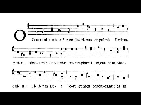 Dominica II in Passionis seu in Palmis (Palm Sunday) - Antiphona (Occurrunt turbae)