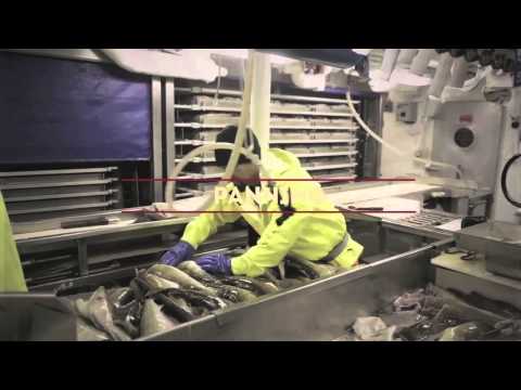 download lagu mp3 mp4 Alaskan Cod Sustainable, download lagu Alaskan Cod Sustainable gratis, unduh video klip Alaskan Cod Sustainable