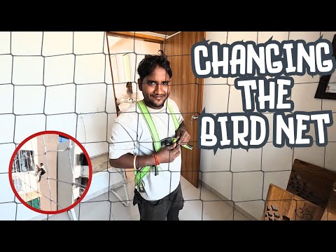 Changing the bird-net for the entire home... | A New Vlog