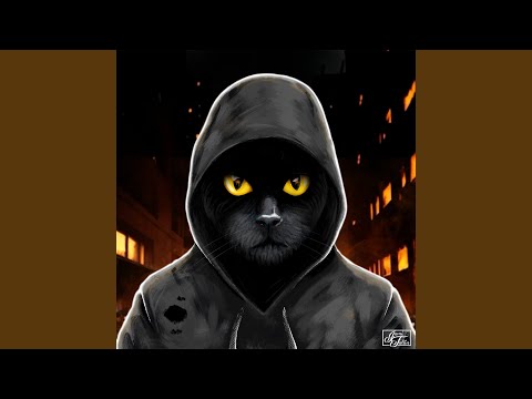 Musta Kissa - Jami Faltin