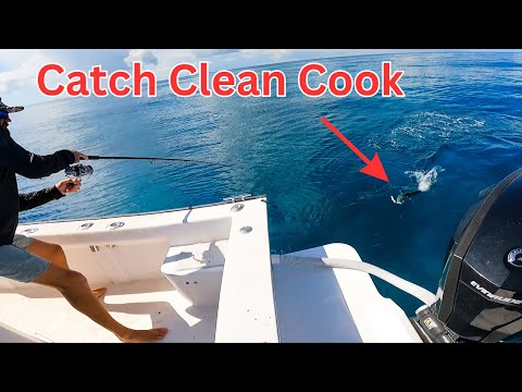 Drifting ballyhoo for BIGGER fish off Key Largo {catch clean cook}
